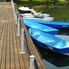 Клуб-отель Воскресенское, Москва, Московская область