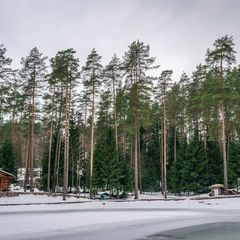 Загородный отель Райвола, Выборгский район, Ленинградская область