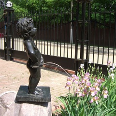 Гостиница Ирис, Александровский район, Владимирская область