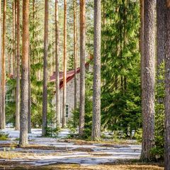 Загородный отель Райвола, Выборгский район, Ленинградская область