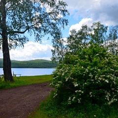 База отдыха Линёвский берег, Шарыповский район, Красноярский край