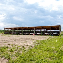 База отдыха Зеркальный карп, Кушнаренковский район, Республика Башкортостан