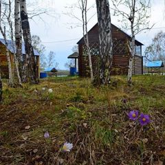 База отдыха Линёвский берег, Шарыповский район, Красноярский край