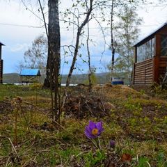 База отдыха Линёвский берег, Шарыповский район, Красноярский край