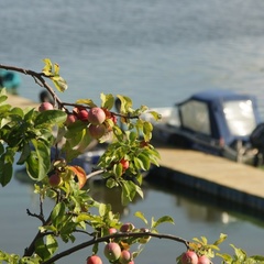 Гостевой дом Барминский остров, Лысковский район, Нижегородская область