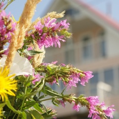 Гостевой дом Барминский остров, Лысковский район, Нижегородская область
