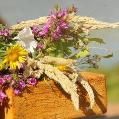 Гостевой дом Барминский остров, Лысковский район, Нижегородская область