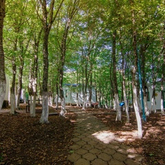 База отдыха Бирюза-Юг, Геленджик, Краснодарский край