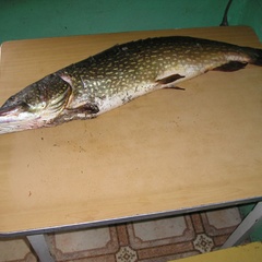 База отдыха Казачий берег, Ейский район, Краснодарский край