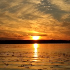 Гостевой дом Барминский остров, Лысковский район, Нижегородская область