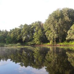 База отдыха Белые пески, Рамонский район, Воронежская область