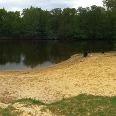 База отдыха Белые пески, Рамонский район, Воронежская область