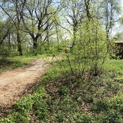 База отдыха Белые пески, Рамонский район, Воронежская область