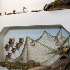 База отдыха Дом охотника и рыбака, Старорусский район, Новгородская область