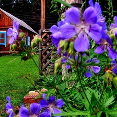 База отдыха Раухова мельница, Манский район, Красноярский край