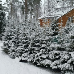 База отдыха Ломаранта, Приозерский район, Ленинградская область