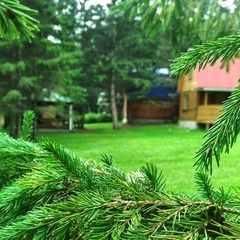 База отдыха Раухова мельница, Манский район, Красноярский край