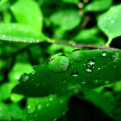 База отдыха Раухова мельница, Манский район, Красноярский край