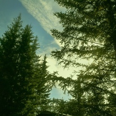 База отдыха Раухова мельница, Манский район, Красноярский край