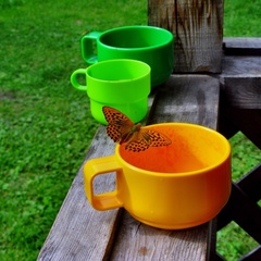 База отдыха Раухова мельница, Манский район, Красноярский край