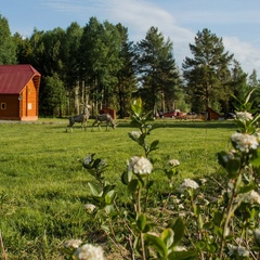 База отдыха Строгановские просторы, Ильинский район, Пермский край