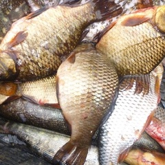 Турбаза Ламбушка, Лахденпохский район, Республика Карелия