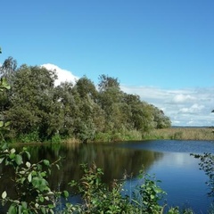 База отдыха Константинова Усадьба, Демянский район, Новгородская область