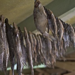 Турбаза Ламбушка, Лахденпохский район, Республика Карелия