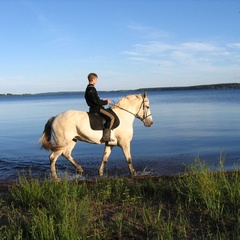База отдыха Константинова Усадьба, Демянский район, Новгородская область