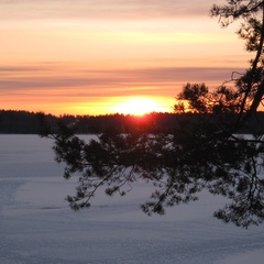 База отдыха Константинова Усадьба, Демянский район, Новгородская область