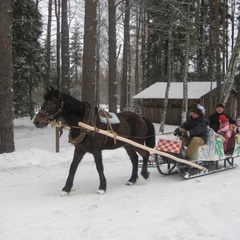 Гостиница Эко Клуб Валдай, Валдай, Новгородская область