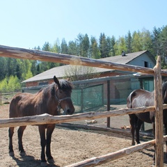 Гостиница Эко Клуб Валдай, Валдай, Новгородская область