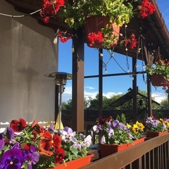 Гостевой дом Куршале, Дмитровский район, Московская область