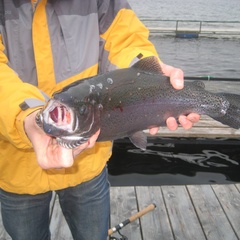 Гостиница Эко Клуб Валдай, Валдай, Новгородская область