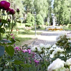 Загородный клуб Усадьба, Щелковский район, Московская область