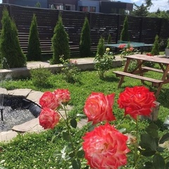 Гостевой дом Куршале, Дмитровский район, Московская область