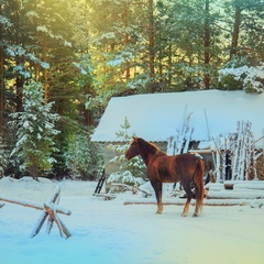 База отдыха Таежная рось, Новолялинский район, Свердловская область