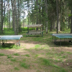 Гостиница Эко Клуб Валдай, Валдай, Новгородская область