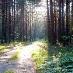 База отдыха Надеждино, Селивановский район, Владимирская область