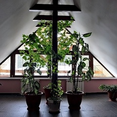 Парк-отель Озон Чечет / Ozon Cheget Park Hotel, Эльбрусский район, Республика Кабардино-Балкария