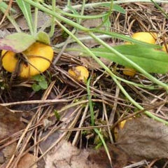 База отдыха Надеждино, Селивановский район, Владимирская область