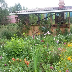 База отдыха Урочище Машуково, Селижаровский район, Тверская область