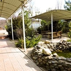 Гостиничный комплекс Фишт, Майкопский район, Республика Адыгея