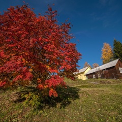 Отель Голубино, Пинежский район, Архангельская область