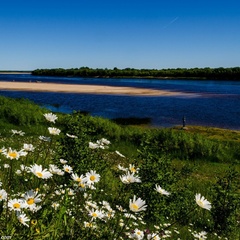 Отель Голубино, Пинежский район, Архангельская область