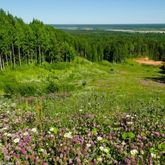 Отель Голубино, Пинежский район, Архангельская область