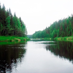 Гостиничный комплекс Малиновка, Устьянский район, Архангельская область