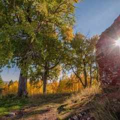 Отель Голубино, Пинежский район, Архангельская область