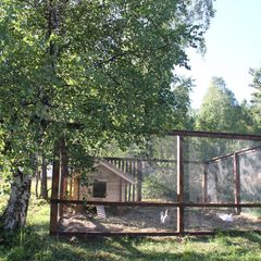 База отдыха Кругобайкальская, Слюдянский район, Иркутская область