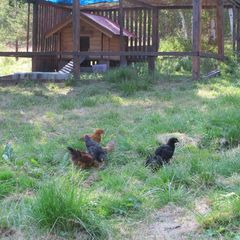 База отдыха Кругобайкальская, Слюдянский район, Иркутская область